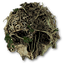The Forest
