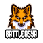 BattleAsya Network 1.8-1.18.1