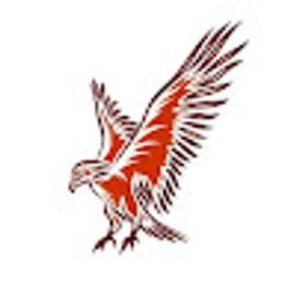 Hawk_571