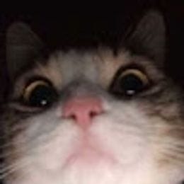 qwexic