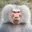 baboon
