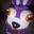 amir_d