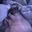 reva_lox