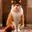 user612142