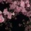 test_rust