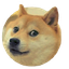 co6aka_oxpeHeBaka O_o #GFY